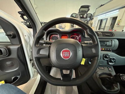 Fiat Panda 1.0 firefly hybrid s&s 70cv 5p.ti (12)