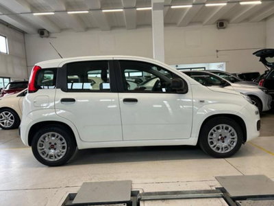 Fiat Panda 1.0 firefly hybrid s&s 70cv 5p.ti (7)