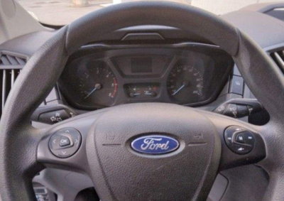 Ford Transit Furgone transit 350 2.0 tdci 170cv trail L3H2 E6.2 (12)