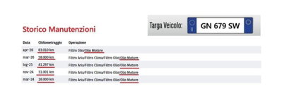 Alfa Romeo Tonale 1.6 Tonale 130cv tct6 (15)