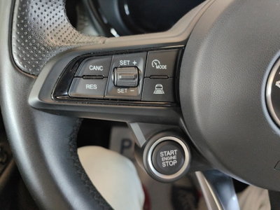Alfa Romeo Tonale 1.6 Tonale 130cv tct6 (17)