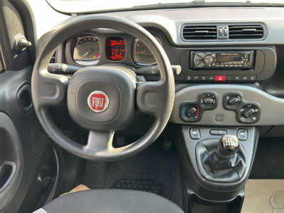 Fiat Panda Cross Cross 1.0 FireFly S&S Hybrid (12)