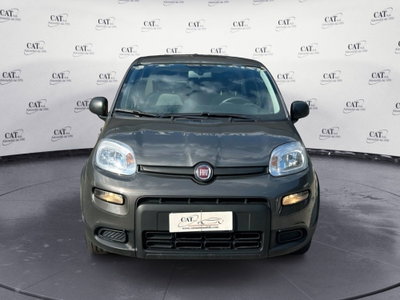 Fiat Panda Cross Cross 1.0 FireFly S&S Hybrid (2)