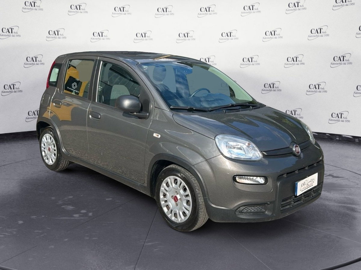 Fiat Panda Cross Cross 1.0 FireFly S&S Hybrid (3)