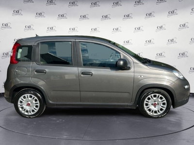 Fiat Panda Cross Cross 1.0 FireFly S&S Hybrid (4)
