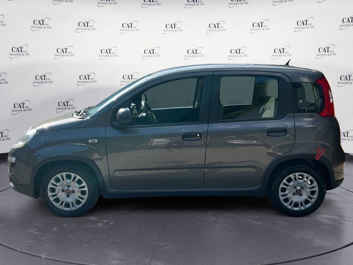 Fiat Panda Cross Cross 1.0 FireFly S&S Hybrid (5)