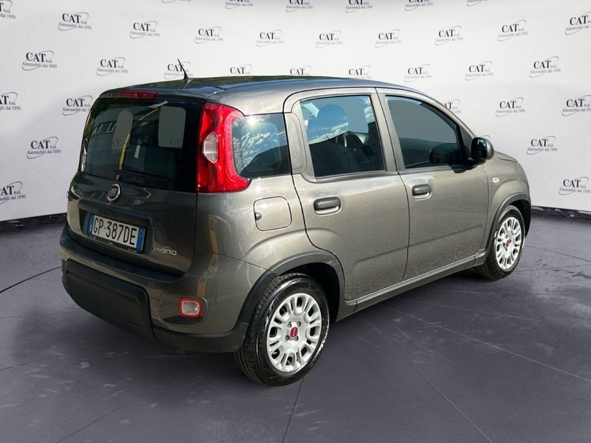 Fiat Panda Cross Cross 1.0 FireFly S&S Hybrid (6)