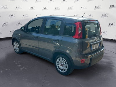 Fiat Panda Cross Cross 1.0 FireFly S&S Hybrid (8)