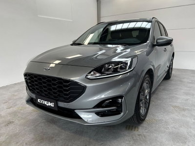 Ford Kuga 1.5 EcoBoost 150 CV 2WD ST-Line usata