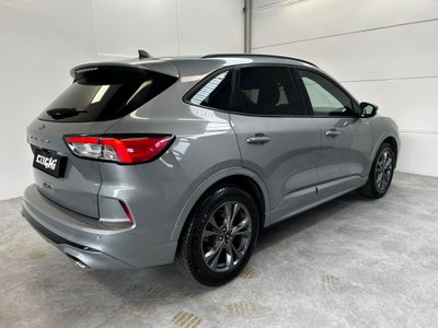 Ford Kuga 1.5 EcoBoost 150 CV 2WD ST-Line (6)