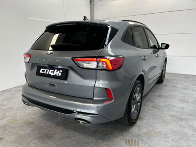 Ford Kuga 1.5 EcoBoost 150 CV 2WD ST-Line (7)