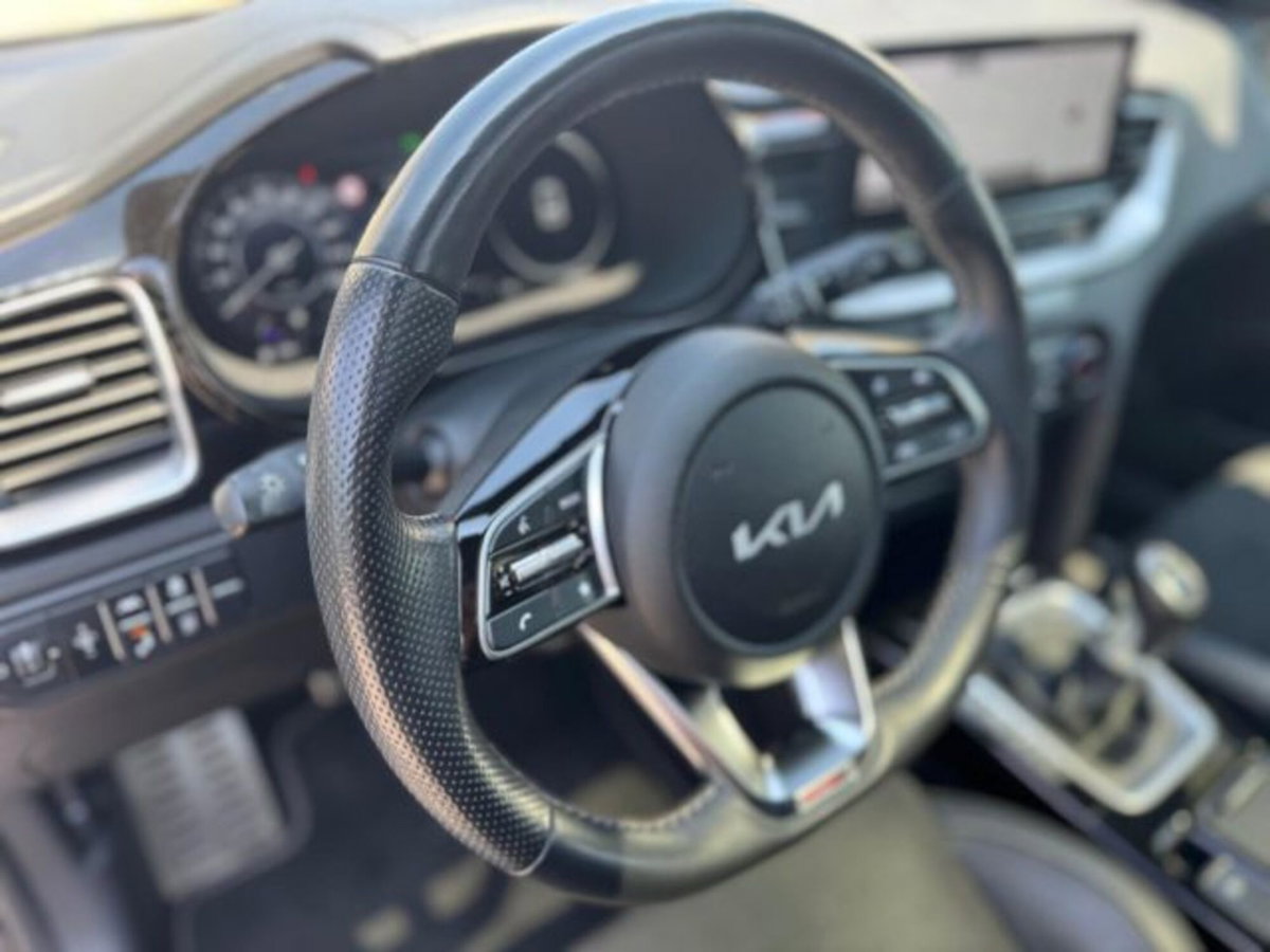 Kia Ceed 1.0 T-GDi 120 CV 5p. GT Line (16)