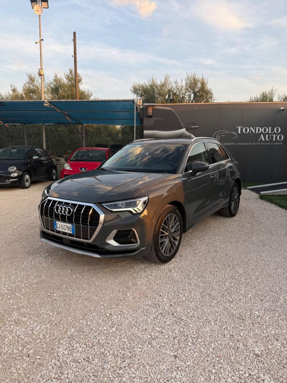 Audi Q3 2.0 TDI 150 CV quattro S tronic Design (2)