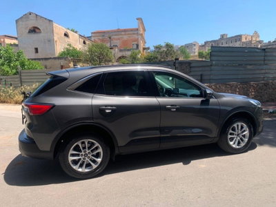 Ford Kuga 1.5 EcoBlue 120 CV 2WD ST-Line (4)