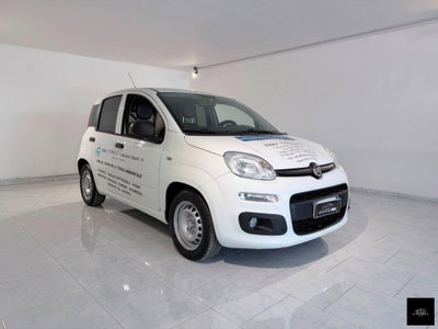 Fiat Panda 1.3 MJT S&S Pop usata