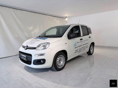 Fiat Panda 1.3 MJT S&S Pop (3)