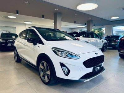 Ford Fiesta Active 1.0 Ecoboost 100 CV (3)