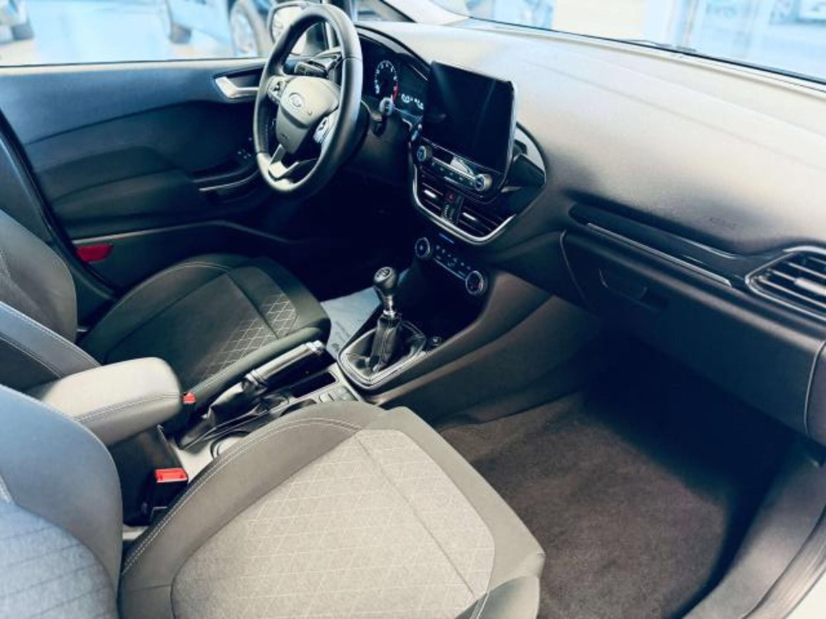 Ford Fiesta Active 1.0 Ecoboost 100 CV (8)