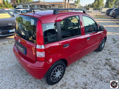 Fiat Panda 1.2 Active (5)
