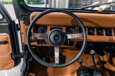 Jeep Wrangler 2.5 cat jeepclub.it (12)