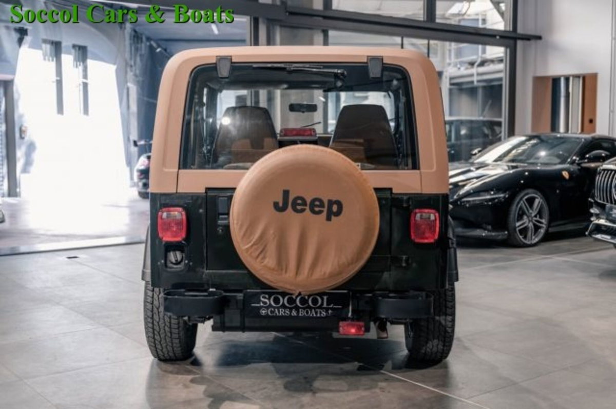 Jeep Wrangler 2.5 cat jeepclub.it (5)