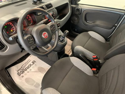 Fiat Panda 1.0 firefly hybrid s&s 70cv 5p.ti (11)