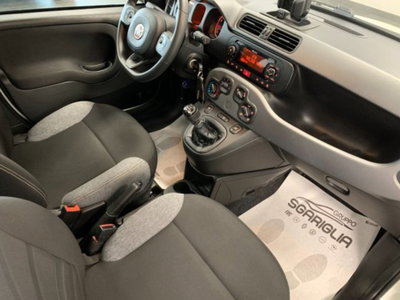 Fiat Panda 1.0 firefly hybrid s&s 70cv 5p.ti (12)