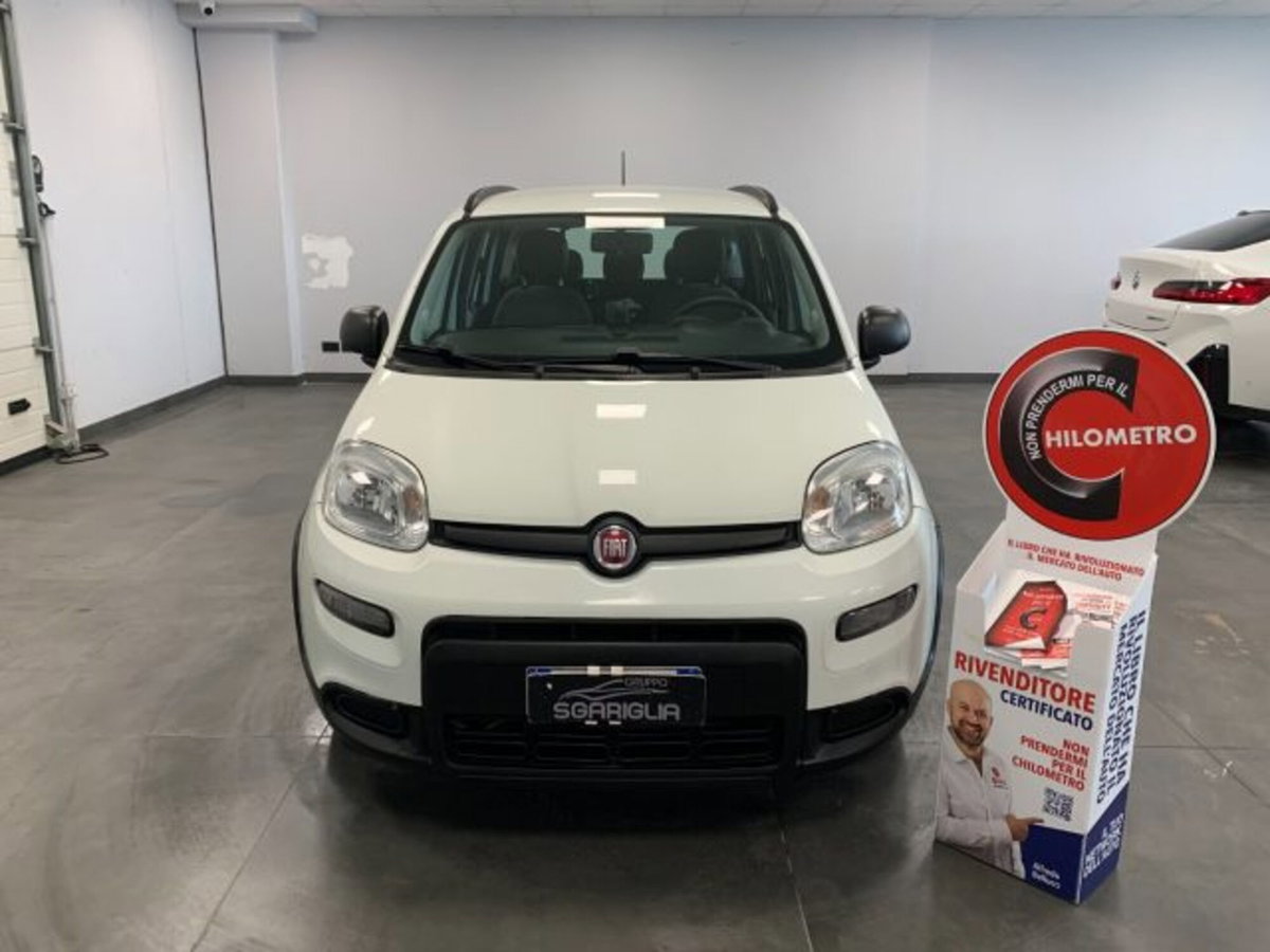Fiat Panda 1.0 firefly hybrid s&s 70cv 5p.ti (2)