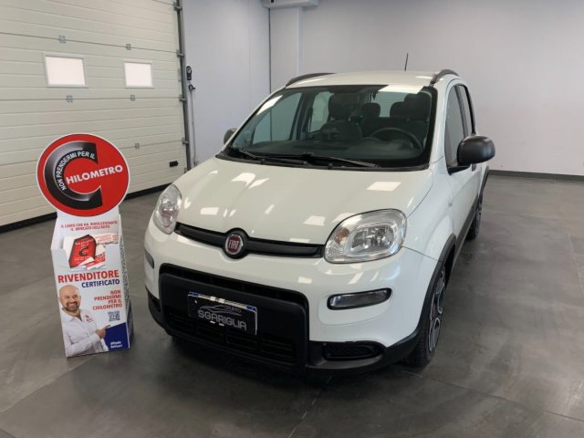 Fiat Panda 1.0 firefly hybrid s&s 70cv 5p.ti (3)