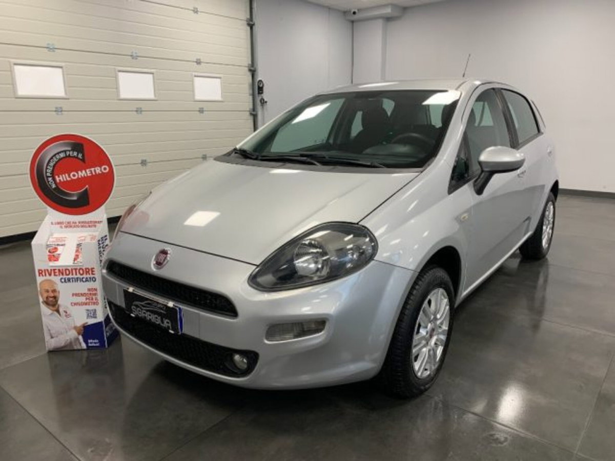 Fiat Punto 1.4 8V 5 porte Natural Power Lounge (3)