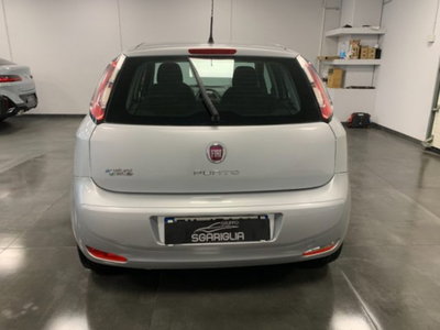 Fiat Punto 1.4 8V 5 porte Natural Power Lounge (5)