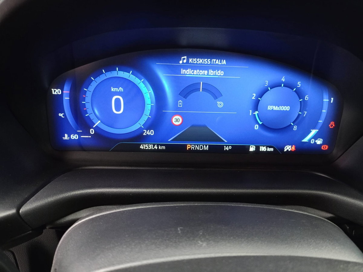 Ford Puma 1.0 EcoBoost Hybrid 125 CV S&S aut. ST-Line X (15)