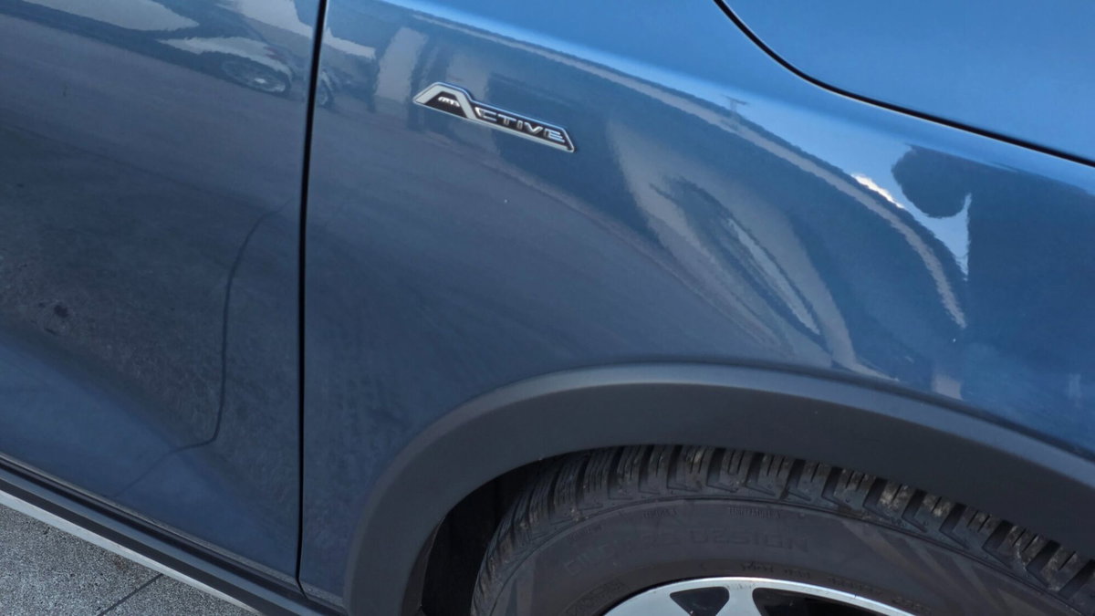 Ford Focus 1.5 EcoBlue 115 CV automatico 5p. Active Style (10)