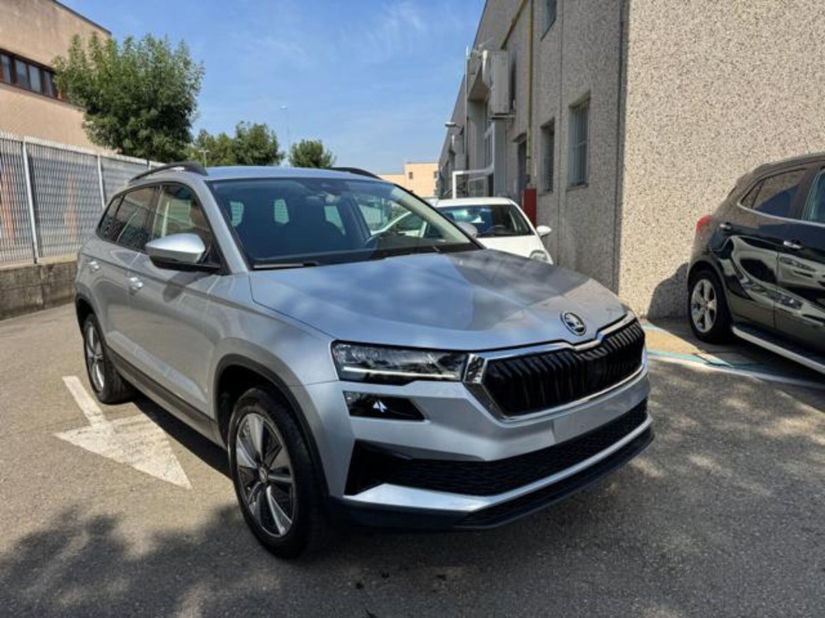 Skoda Karoq 2.0 TDI EVO SCR 115 CV DSG Executive (2)