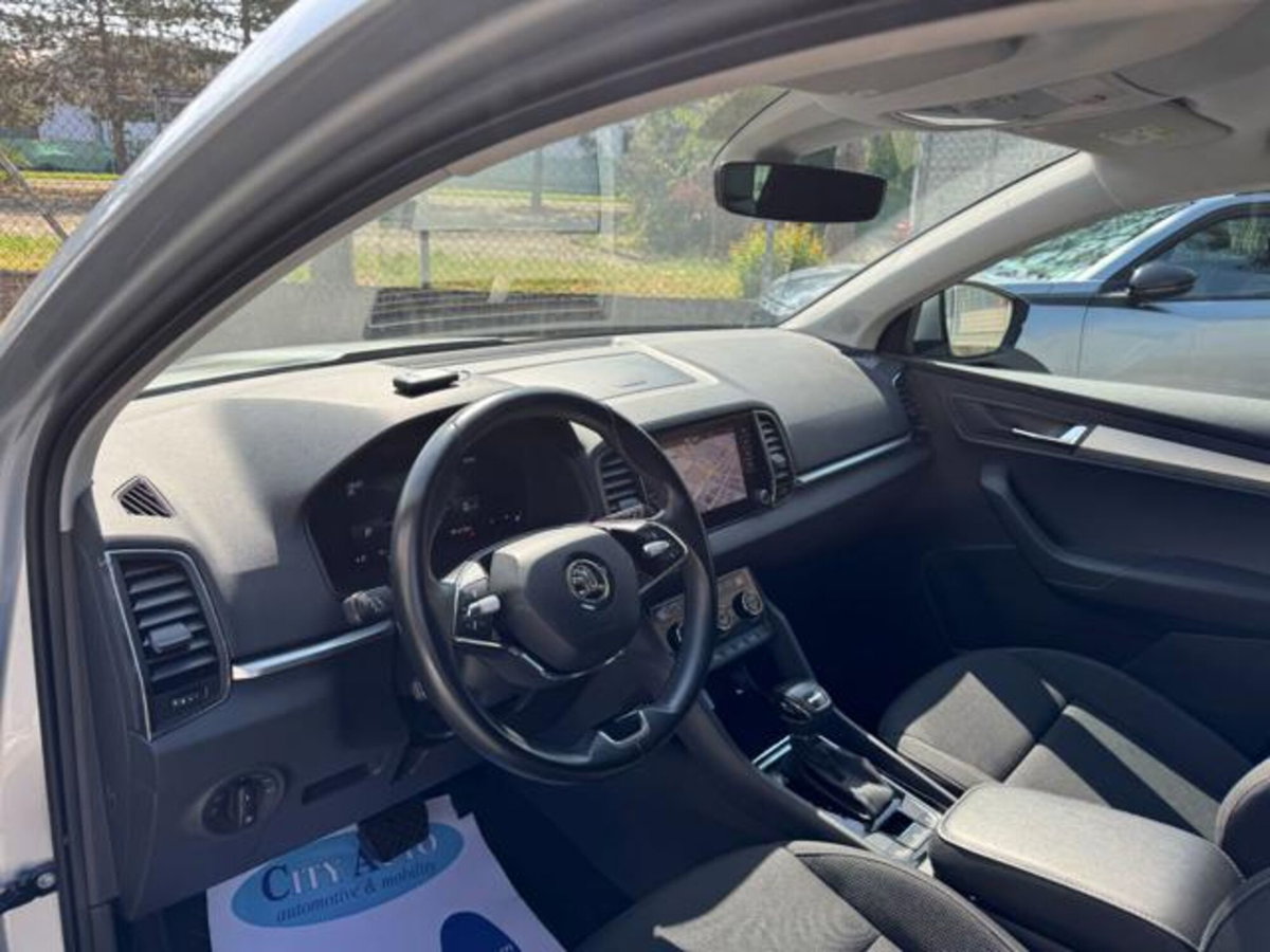 Skoda Karoq 2.0 TDI EVO SCR 115 CV DSG Executive (6)