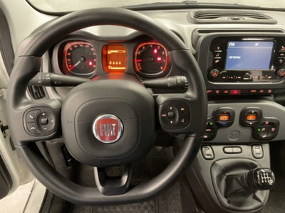 Fiat Panda 1.0 firefly hybrid s&s 70cv 5p.ti (2)