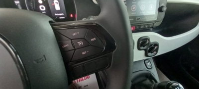 Fiat Panda Cross 1.0 firefly hybrid Cross s&s 70cv 5p.ti (15)