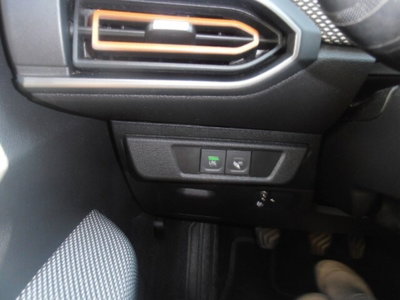 Dacia Sandero Stepway 1.0 tce Expression 90cv cvt (11)