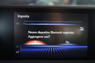 Lexus UX Full Electric Premium (12)