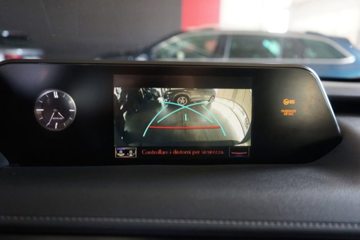 Lexus UX Full Electric Premium (13)