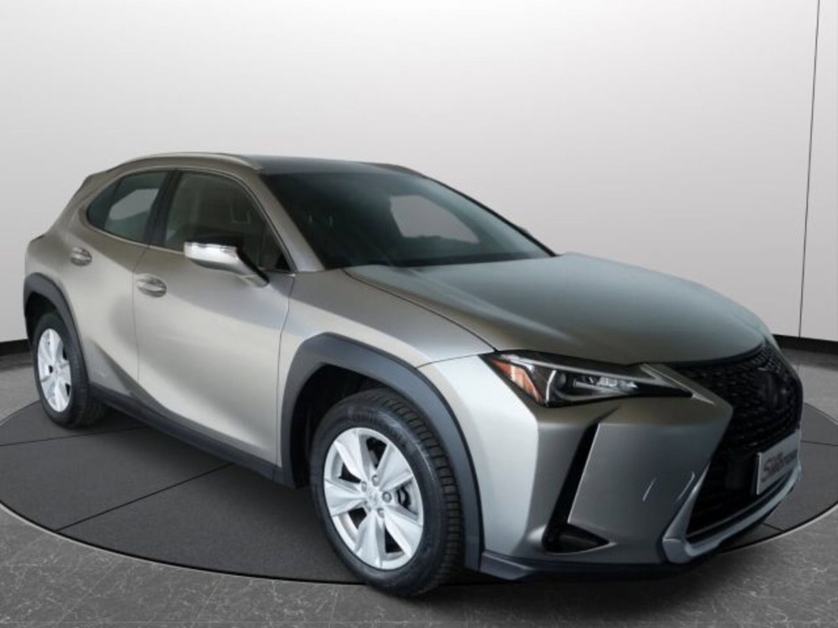 Lexus UX Full Electric Premium (16)