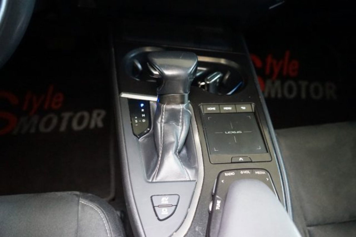 Lexus UX Full Electric Premium (7)