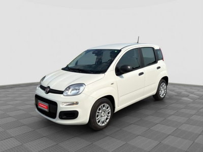 Fiat Panda Cross Cross 1.0 FireFly S&S Hybrid usata