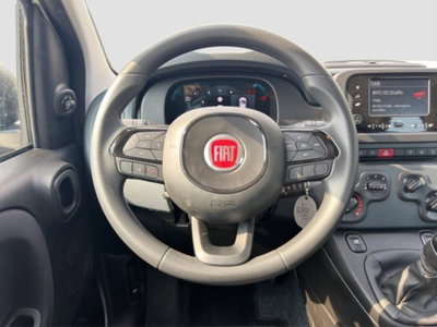 Fiat Panda Cross Cross 1.0 FireFly S&S Hybrid (13)