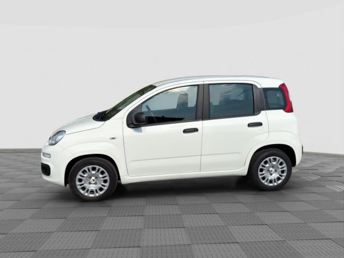Fiat Panda Cross Cross 1.0 FireFly S&S Hybrid (2)