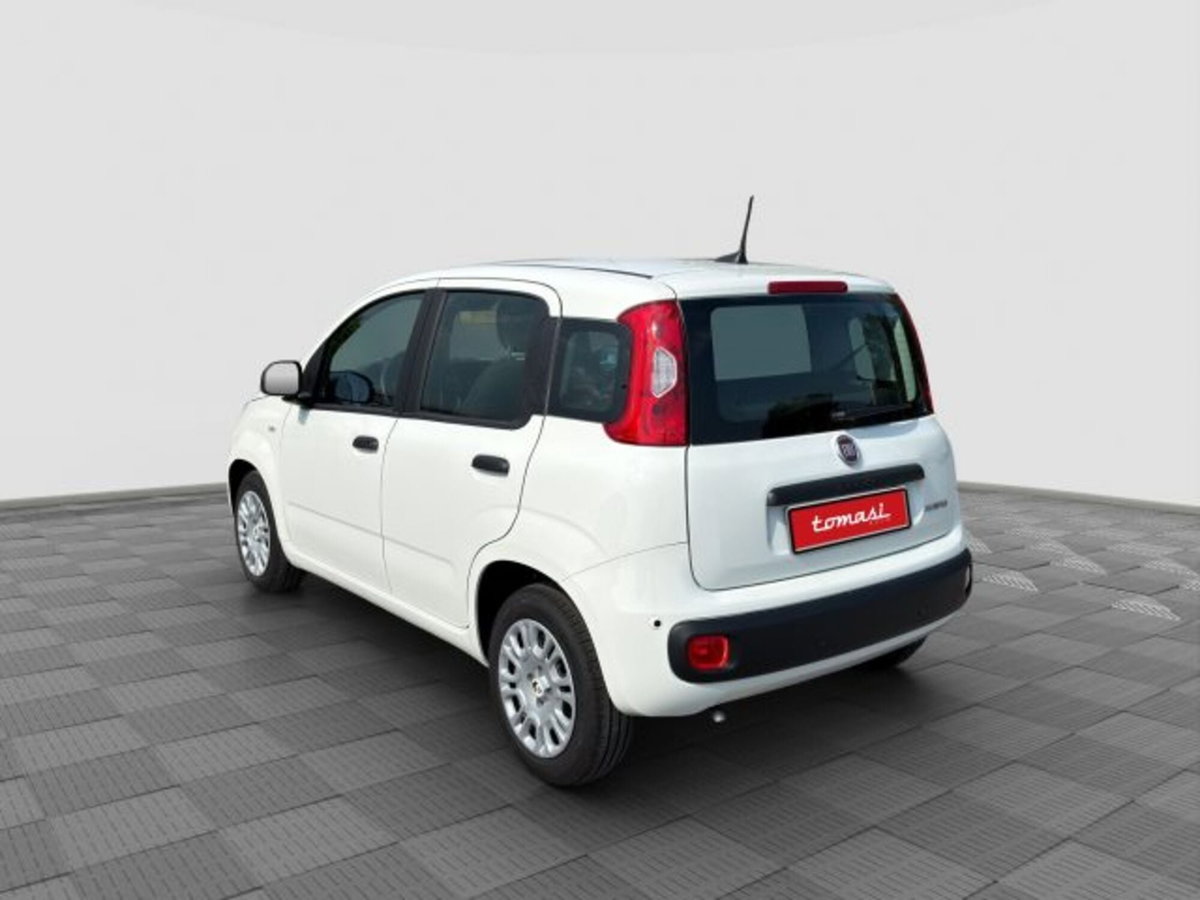 Fiat Panda Cross Cross 1.0 FireFly S&S Hybrid (3)