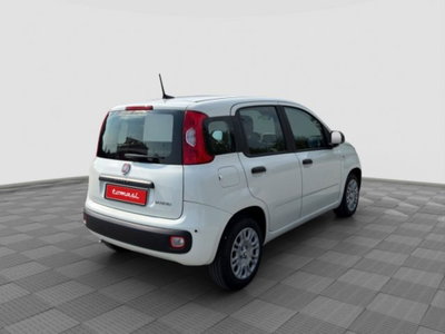 Fiat Panda Cross Cross 1.0 FireFly S&S Hybrid (5)