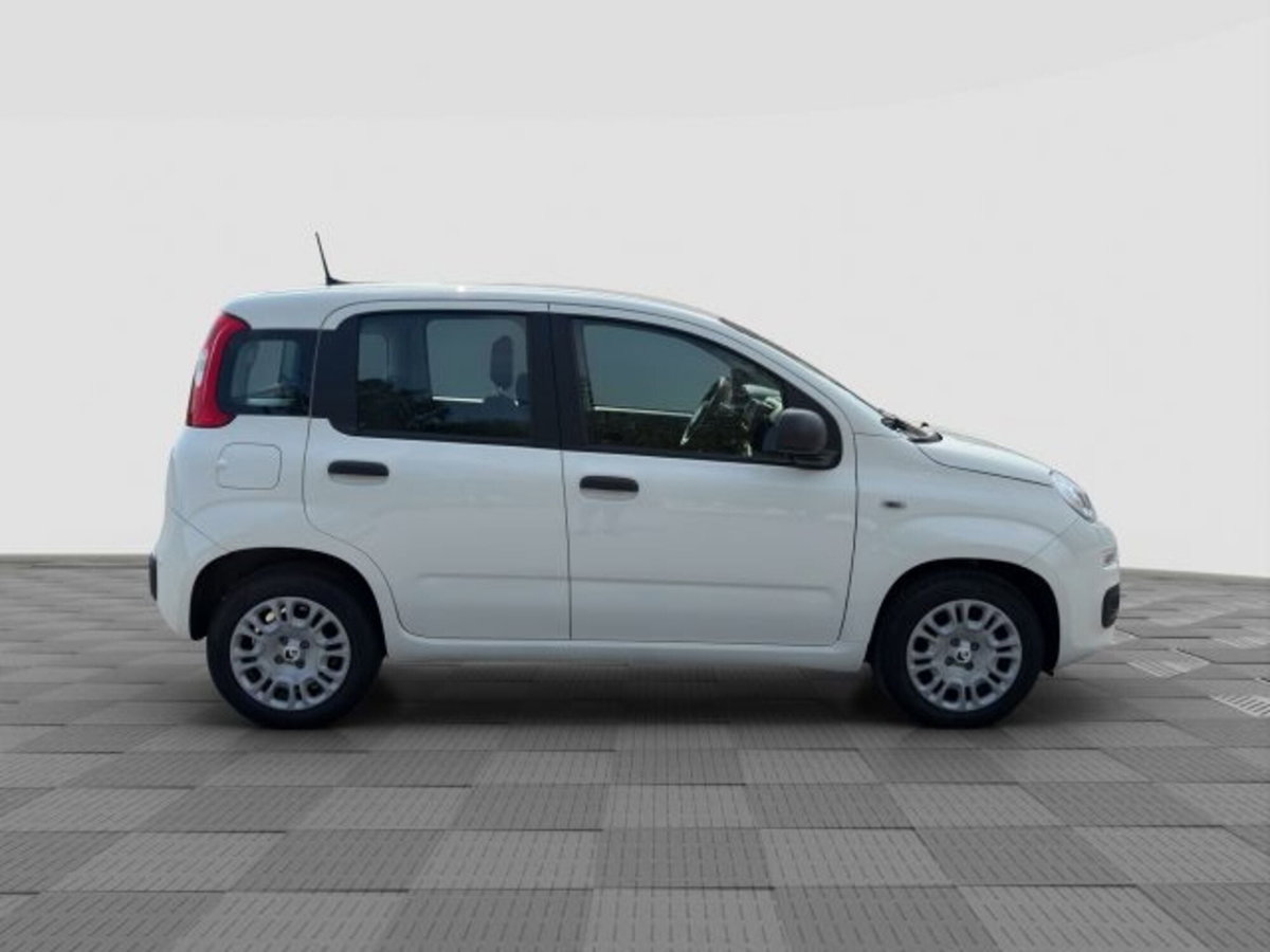 Fiat Panda Cross Cross 1.0 FireFly S&S Hybrid (6)