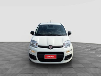 Fiat Panda Cross Cross 1.0 FireFly S&S Hybrid (8)