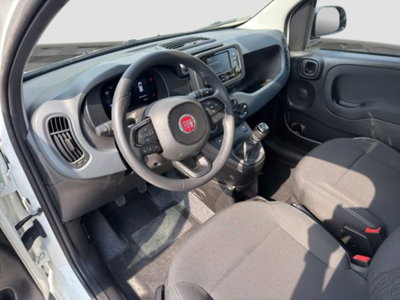 Fiat Panda Cross Cross 1.0 FireFly S&S Hybrid (9)